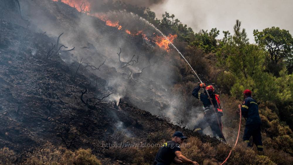 Kebakaran Hutan: Greece ‘Berperang’ Dengan Api | IKRAM